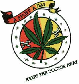 aday.jpg